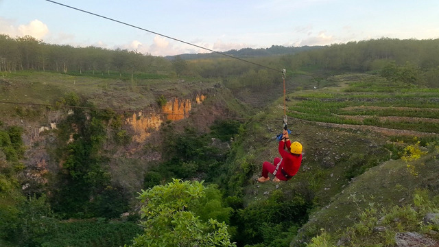 Flying Fox Ngingrong